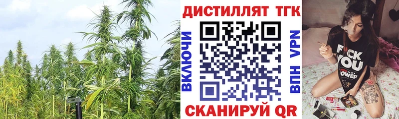 Купить закладки  Карабаш  ТГК жижа 