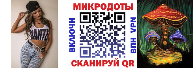 Купить закладки  Карабаш  Галлюциногенные грибы Psilocybe 